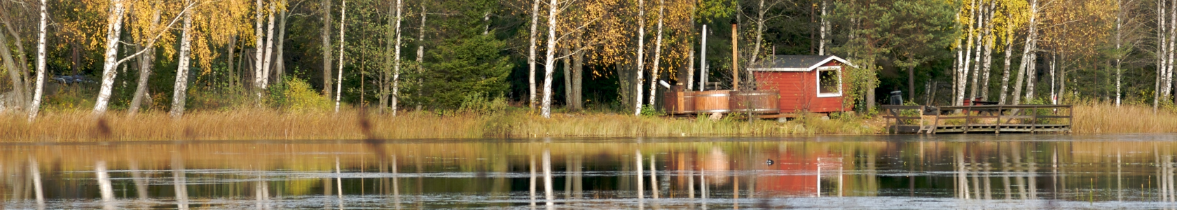 finnleo-hero-bg finnleo-hero-bg